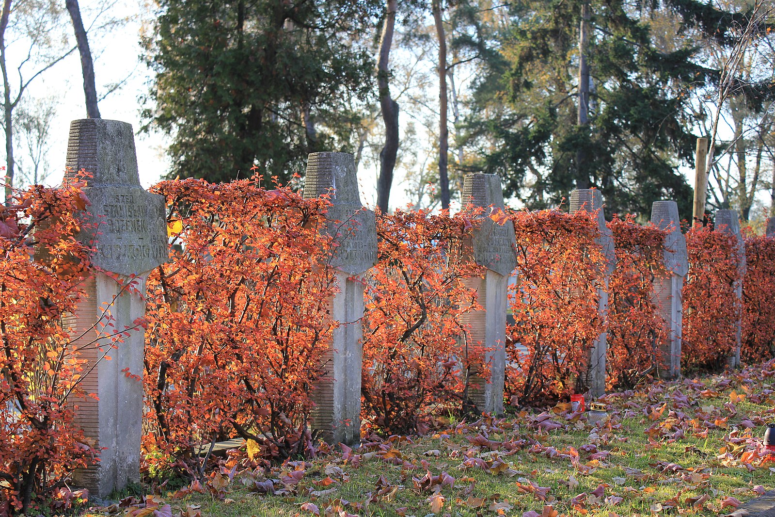 Могили польських солдатів, які загинули під час Другої світової війни. Фото: Івонна Новіцька (СС BY-SA 4.0)