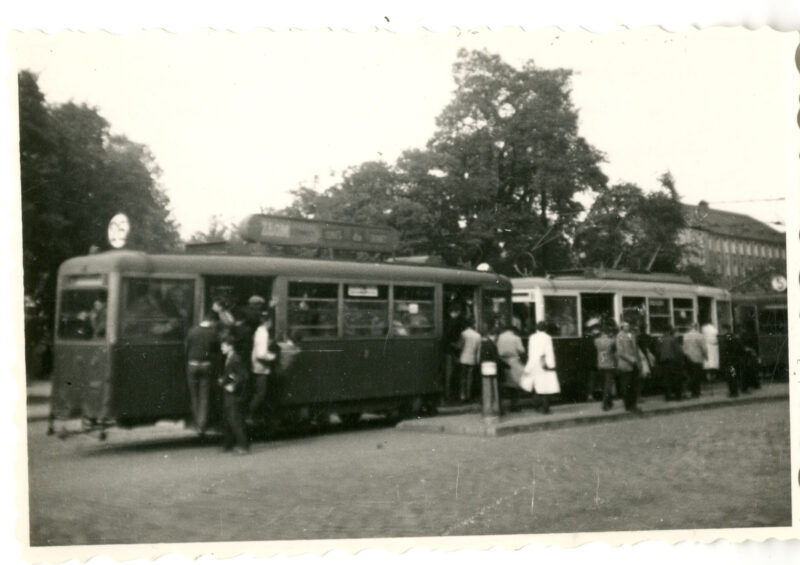 Fot. ze zbiorów Małgorzaty Kovascisk Wright/AHM
